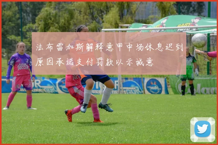 法布雷加斯解释意甲中场休息迟到原因承诺支付罚款以示诚意