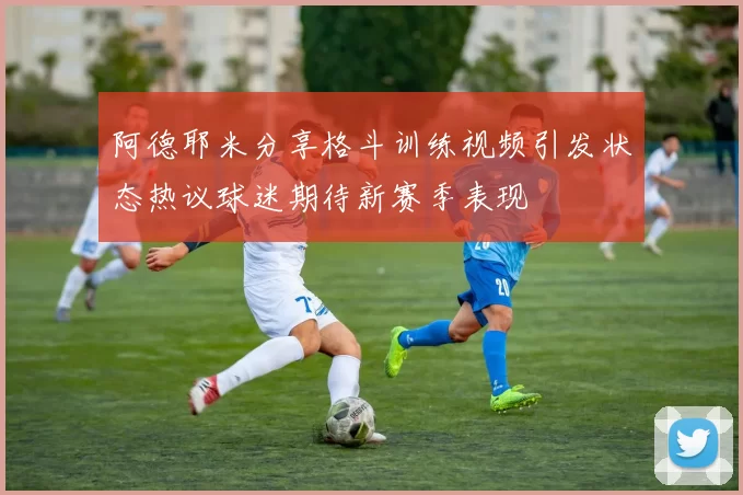 阿德耶米分享格斗训练视频引发状态热议球迷期待新赛季表现